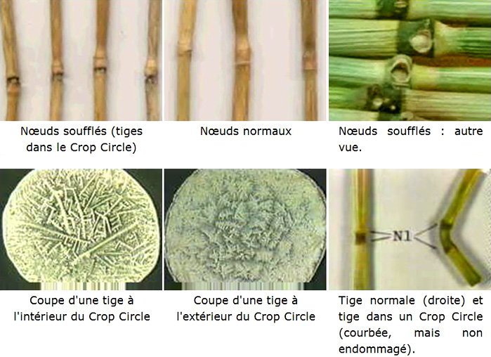 cropcercle