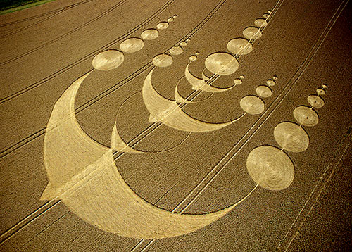 crop_circle_2003-UK_bird.jpg